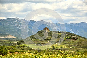 Vineyard landscape with the medieval Castle of Davalillo. photo