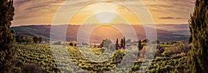 Vineyard landscape panorama in Tuscany, Italy. Wine farm at sunset photo