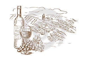 Vineyard landscape sketch vector illustration. Red wine bottle, glasses, grape vine, hand drawn label design elements