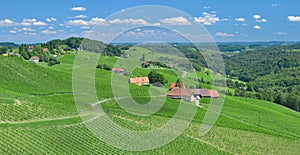 Vineyard Landscape,Styria,Austria