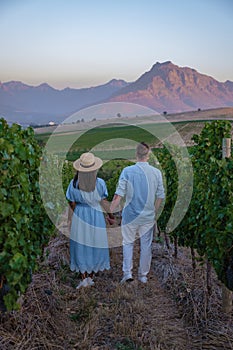 Vineyard landscape at sunset with mountains in Stellenbosch, near Cape Town, South Africa