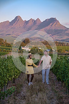 Vineyard landscape at sunset with mountains in Stellenbosch, near Cape Town, South Africa