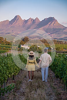 Vineyard landscape at sunset with mountains in Stellenbosch, near Cape Town, South Africa