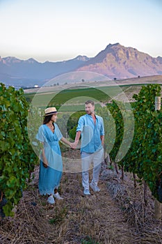 Vineyard landscape at sunset with mountains in Stellenbosch, near Cape Town, South Africa