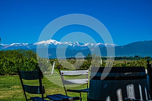 Vineyard Landscape with Tupungato Vulcan and Andes on the Backgr