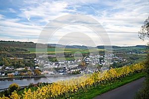 vineyard landscape with a view of the village of Wellen in Germany