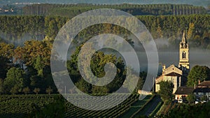 Vineyard landscape-Vineyard south west of France, Sauternes