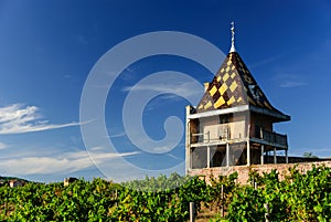 Vineyard and magnificent Chateau Portier built in the architectural style of Burgundy. region Beaujolais, France