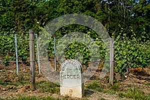 Vineyard marker stone for Champagne Mercier in Epernay