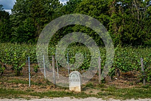 Vineyard marker stone for Champagne Mercier in Epernay