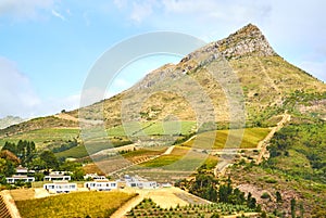 Vineyard mountains in Stellenbosch valley South-Africa