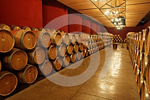 Vineyard Oak Barrels