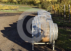 Vineyard Oak Barrels, Mid-Willamette Valley, Marion County, West