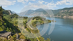 Vineyard & Orchards in Columbia River Gorge