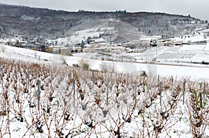 Beaujolais vineyard and village under snow