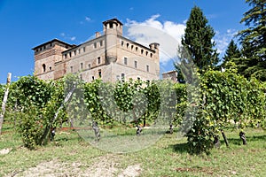 Vineyard in Piedmont Region, Italy, with Grinzane Cavour castle in the background