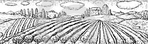 Vineyard plantation field rural scene sketch