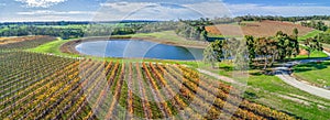 Vineyard and pond on bright sunny day in fall. photo