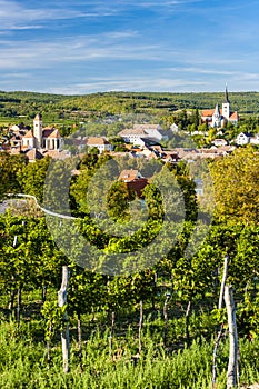 vineyard and Pulkau, Austria