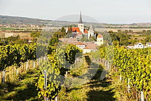 vineyard and Pulkau, Austria