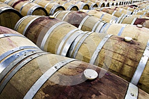 The Vineyard Red Wine Barrel Room