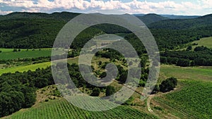 Vineyard rows and agricultural fields in beautiful valley in Bulgaria, Europe