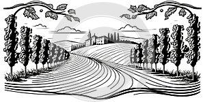 Vineyard with rows of grape vines and house. simple line drawing illustration style. Generative ai