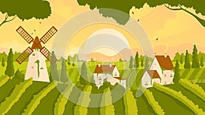 Vineyard rural summer or autumn sunset landscape scene with growing vine grapes, farm houses and windmill