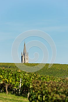 Vineyard-Saint-Emilion