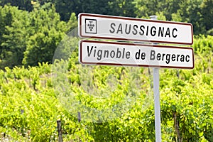 vineyard of Saussignac in Bergerac Region, Dordogne Deparment, France