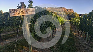 A Vineyard with a Sign