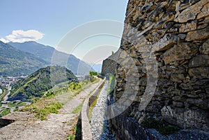 Vineyard in Sion, Valais, Switzerland