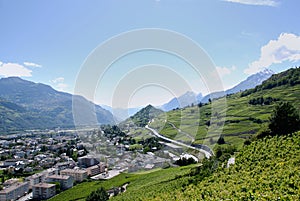 Vineyard in Sion, Valais, Switzerland