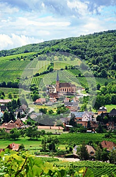 Vineyard and small village in Alsace - France