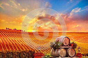 Vineyard Sunset with Wine Barrels