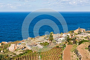 Vineyard terraces in Banyalbufar, Majorca