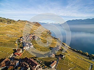 Vineyard terraces Lavaux