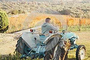 Vineyard with tractor. Agriculture, farming landscape. Rural beauty countryside with vine grapes. Autumn harvest nature