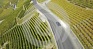 Vineyard unesco lavaux