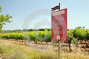 The vineyard of Varois in Provence