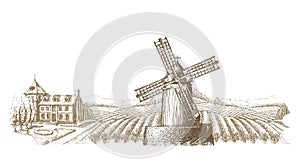 Vineyard vector logo design template. farm or