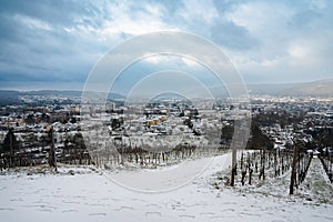 Vineyard with view of the ancient roman city of Trier covered in snow, Moselle Valley in Germany, winter landscape in rhineland