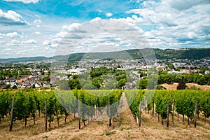 Vineyard with view of the ancient roman city of Trier, the Moselle Valley in Germany, landscape in rhineland palatine