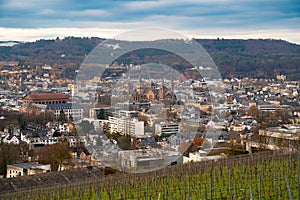 Vineyard with view of the ancient roman city of Trier, the Moselle Valley in Germany, landscape in rhineland palatine