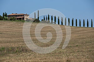 Vineyard villa in Tuscany Italy