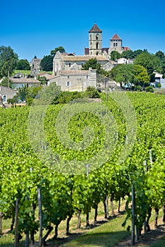 Vineyard and village of Montagne Saint-Emilion