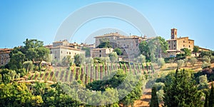 Vineyard and village of Montalcino, Tuscany Italy