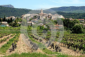 Vineyard and the village Sablet, France
