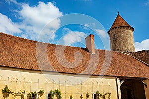 Vineyard on walls roof old tower of Blandy-les-Tours castle