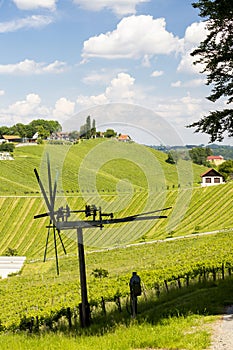 vineyard with windmill called klapotetz in south of Styria, Austria